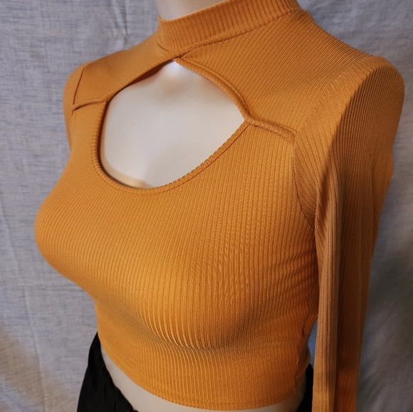 Long-sleeved crop top - Picture 3 of 5